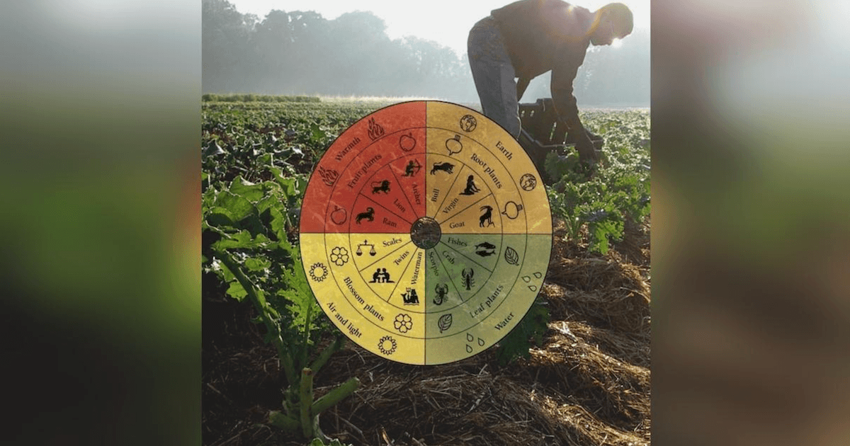 Biodynamic farming wheel showing planting and seasonal rhythms