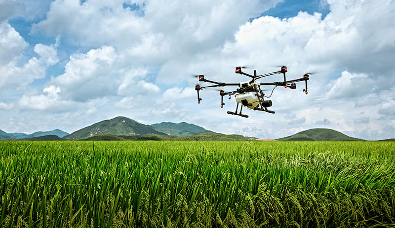 drones being used for seeding fields growing alfalfa cover crops
