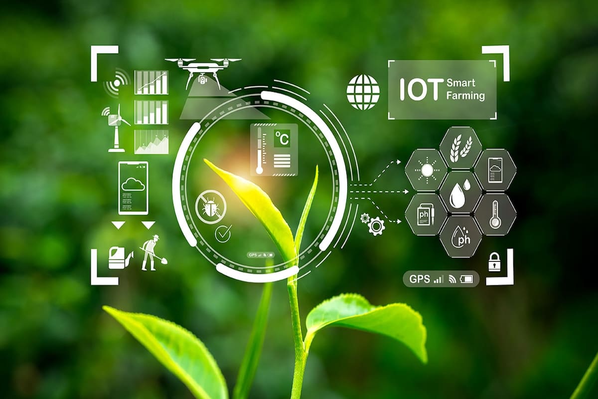 IoT systems provide real-time data