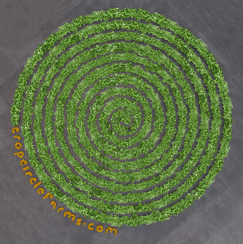 crop circle farm beets