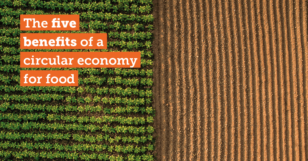 Circular Agriculture Benefits: Building Resilient, Regenerative Food Systems