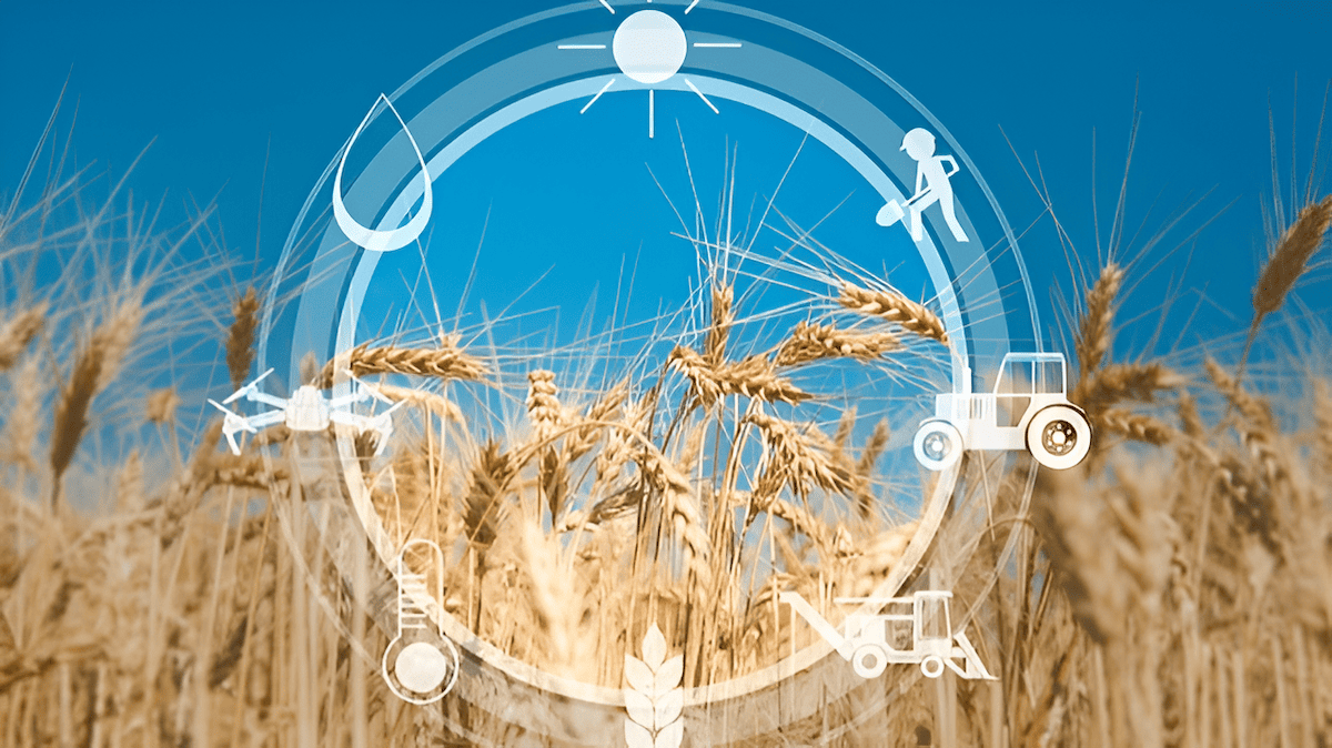 circular agricultural systems