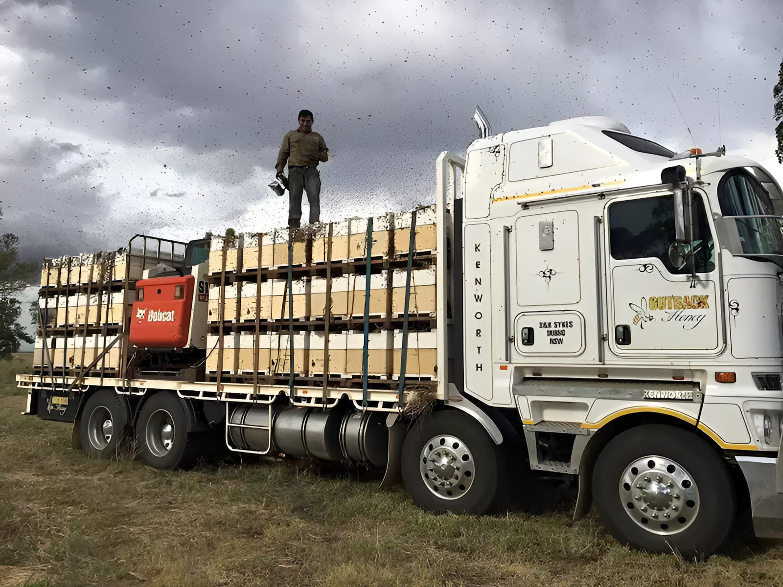 industru=ialized bee pollination