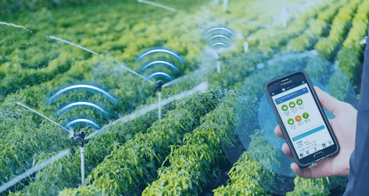 Crop smart irrigation using sensors and precision water management