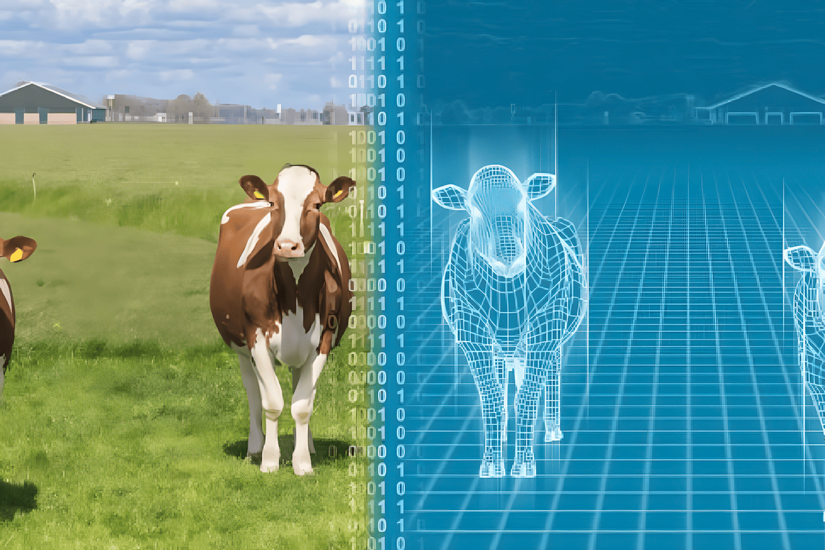 Digital twin farming model integrating sensors, drones, satellite imagery, and predictive analytics