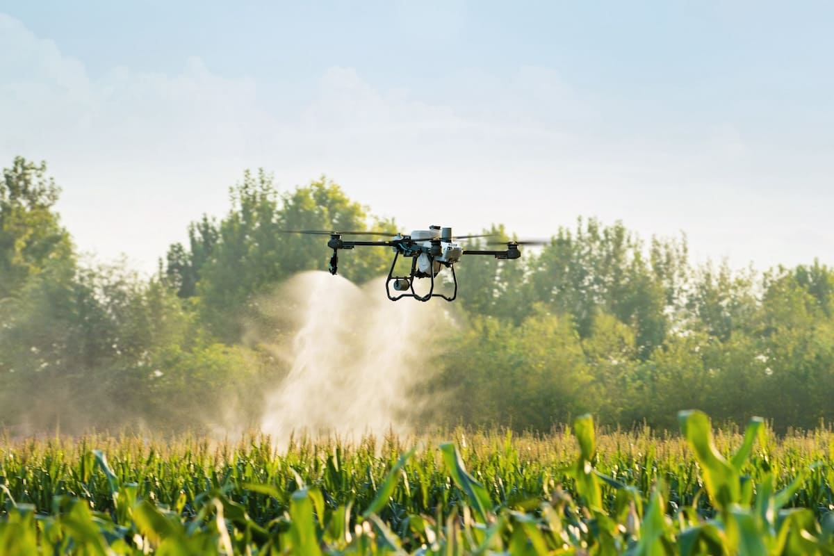 Agricultural drone spraying crops with precision application system