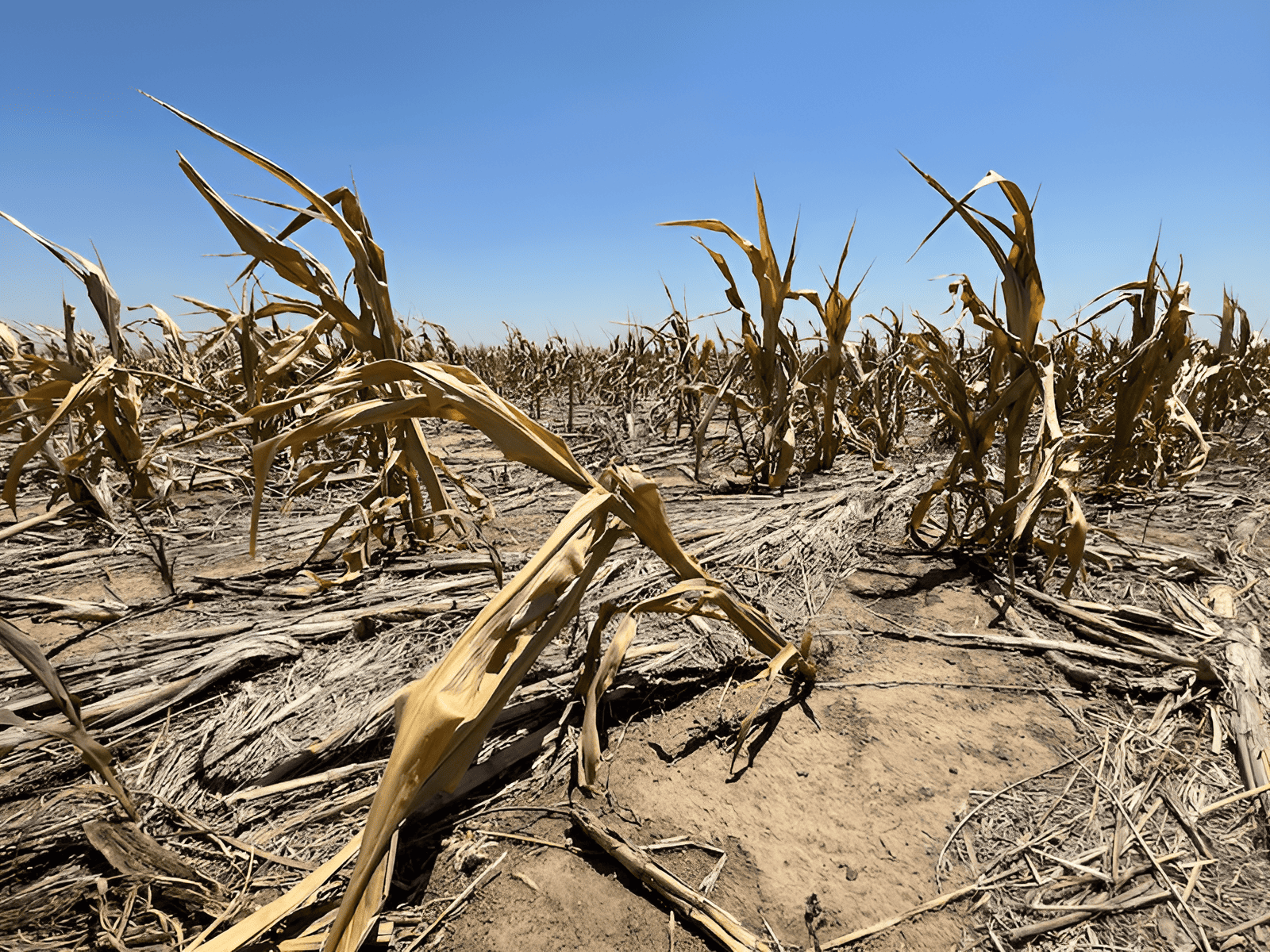 drought caused by geo-engineering