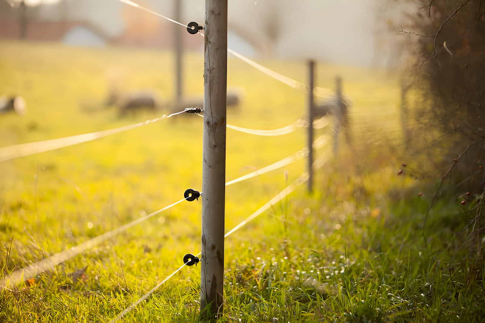 the shocking alternative to wood fencing
