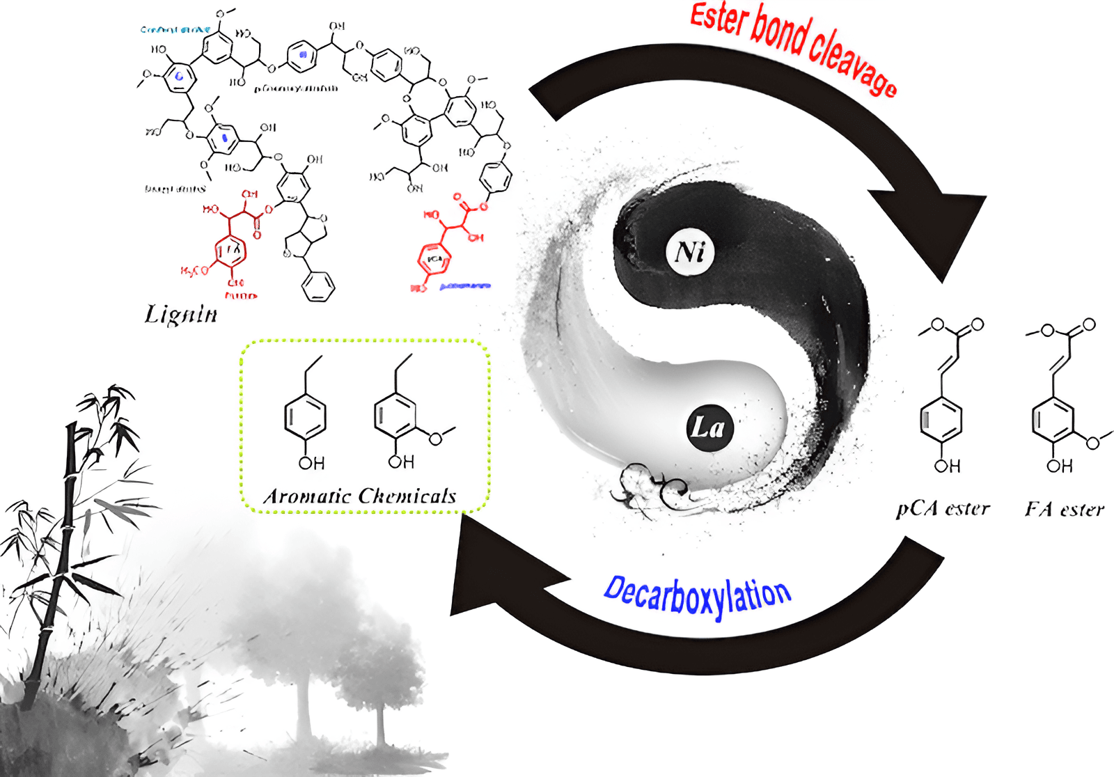 the linkages of humic acid and why they work