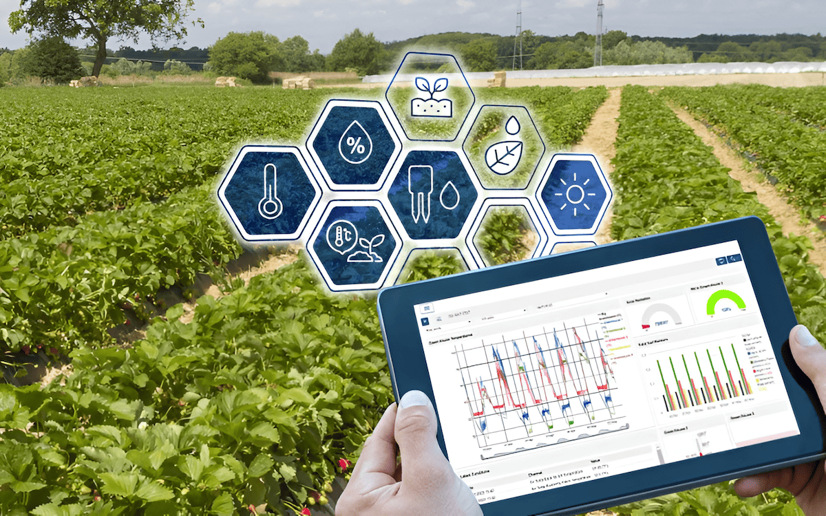 Farm sensor networks continuously monitor soil, crop, water, and climate conditions, transmitting data to centralized dashboards or AI platforms for analysis