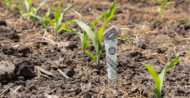 Sfarm subsidies in the united states