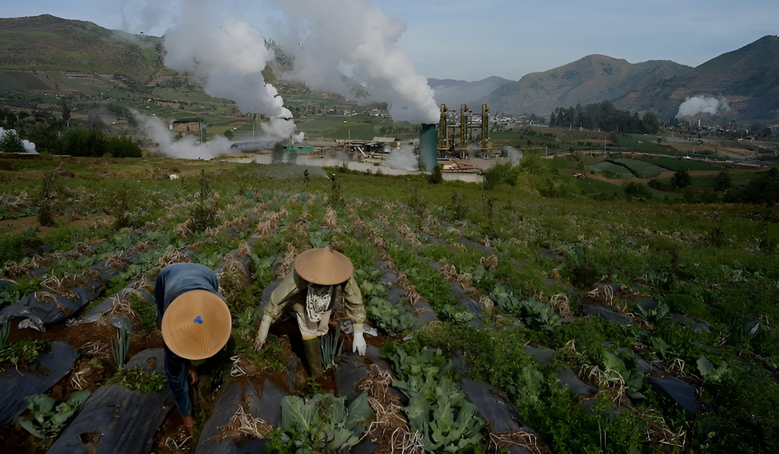 generating heat and power from the warmth of the subterranean earth