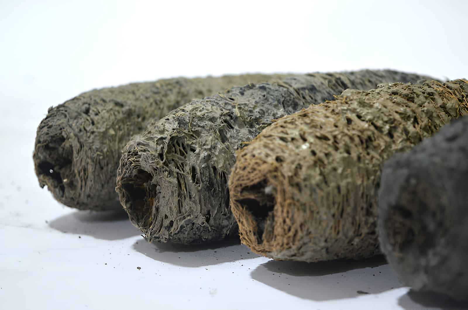 its ability to improve soil fertility, and its carbon sequestration properties makes it a “win-win” for farmers