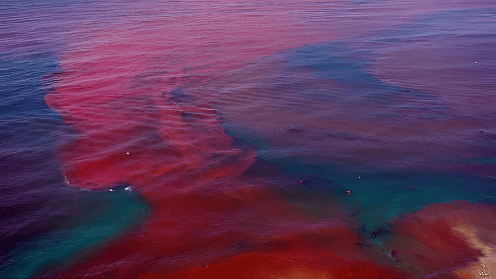 carbon dioxide removal