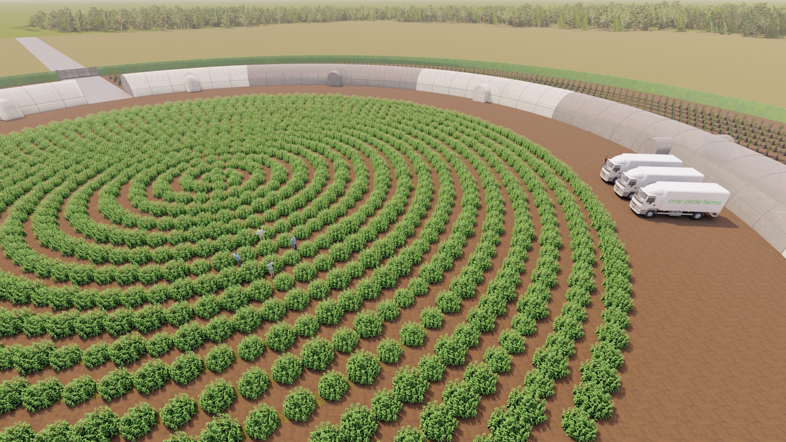 earn millions farming