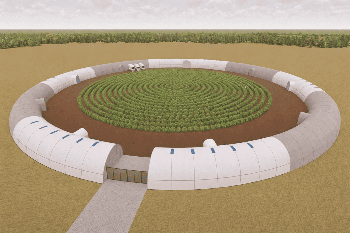Intensive high-value farming system designed to increase production and revenue potential per acre