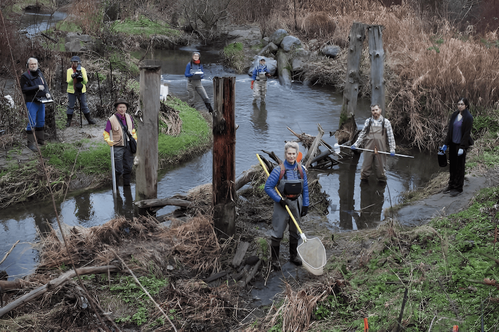 riparian subsidies in the united states