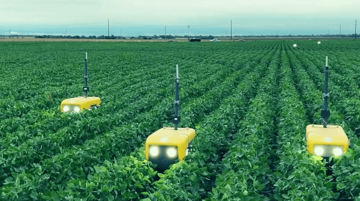 autonomous robotic weed control system operating between crop rows