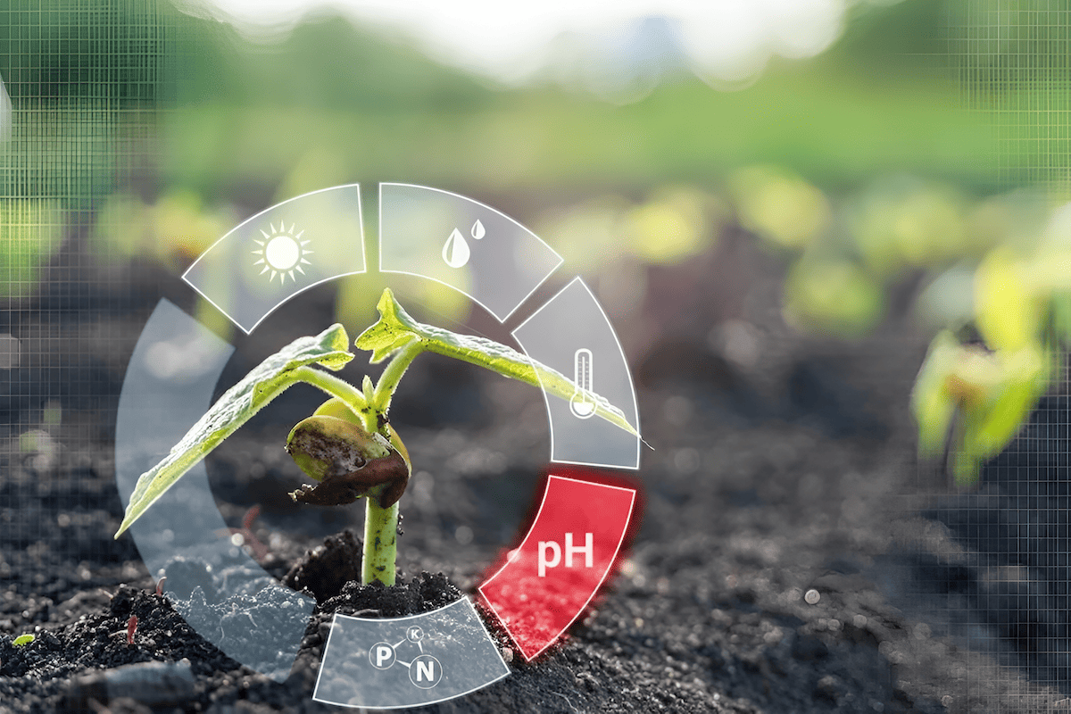 What Is Soil Health Monitoring Technology