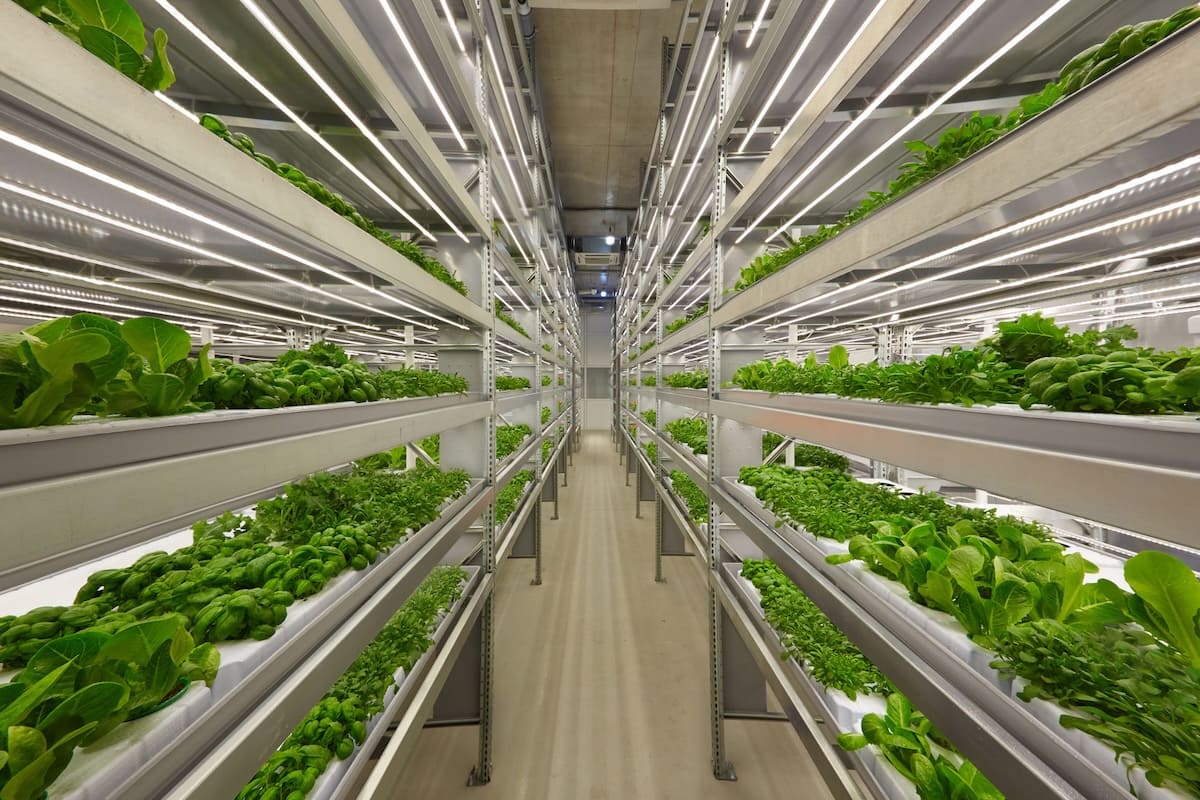 vertical produce delivery systems