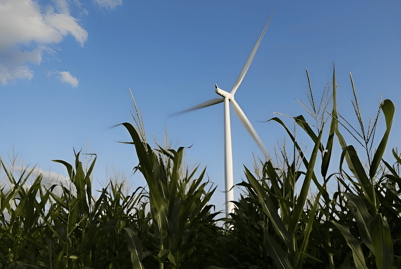 wind turbines on farms representing a progressive step towards a more sustainable future